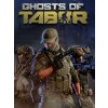 Ghosts Of Tabor (PC) Steam Key