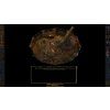 Baldur’s Gate: Deluxe Edition (PC) Steam Key