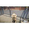 Animal Shelter (PC) Steam Key
