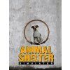 Animal Shelter (PC) Steam Key