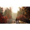 Life is Strange 2 - Episode 1 (PC) Steam Key