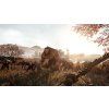 Warhammer: Vermintide 2 - Collector's Edition Upgrade DLC (PC) Steam Key