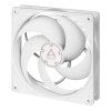 p14 pwm white g00 new s
