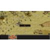 Rise of Nations: Extended Edition (PC) Steam Key