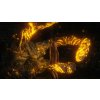 Elden Ring (PC) Steam Key