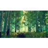 Firewatch (PC) GOG.COM Key
