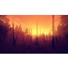 Firewatch (PC) GOG.COM Key