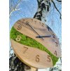 Dřevěné mechové dubové hodiny II