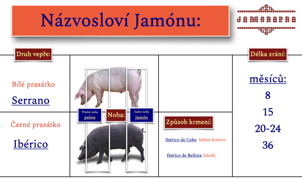 Názvosloví_jamonu