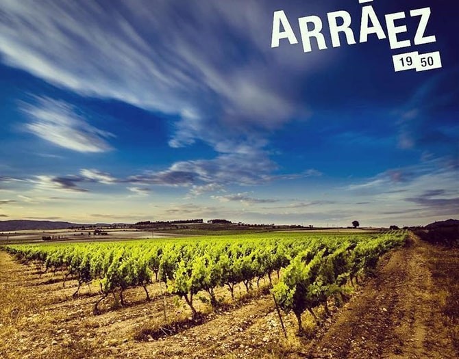 visita-bodegas-arraez-cata-vinos