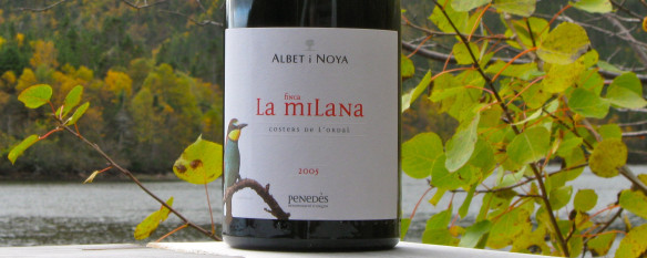 albet-i-noya-la-milana