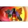 dior Fehre EDT