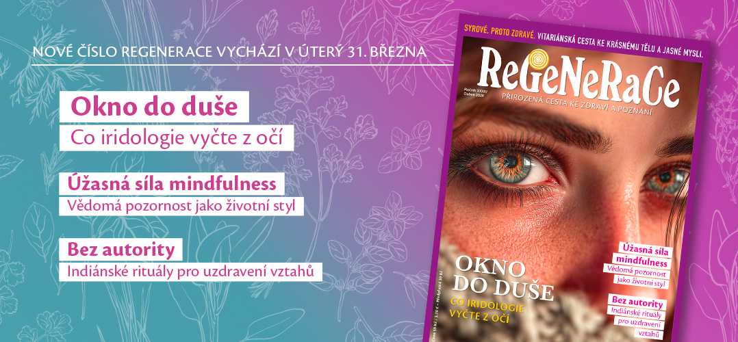 Regenerace 04/2026