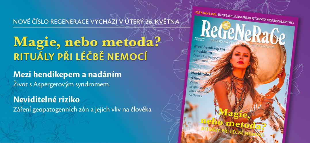 Regenerace 06/2026