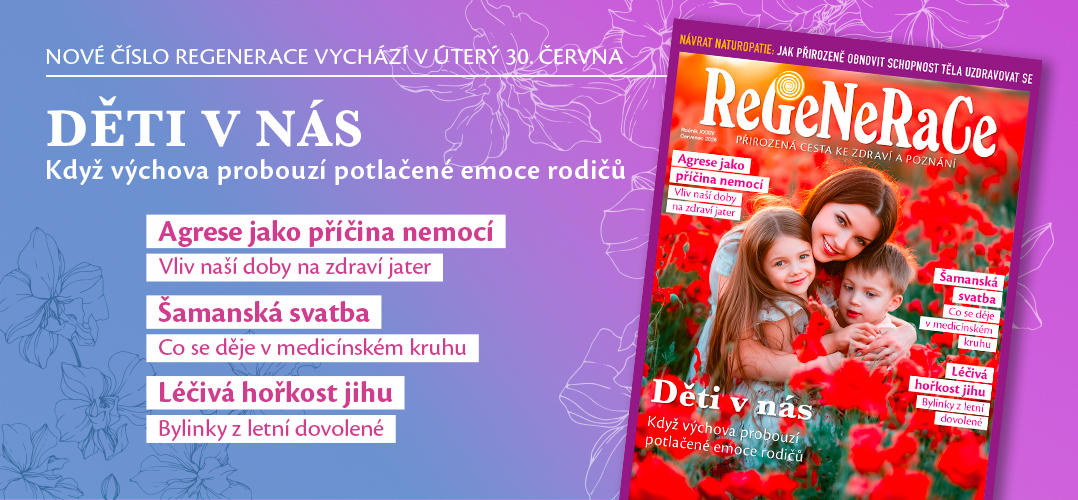 Regenerace 072026