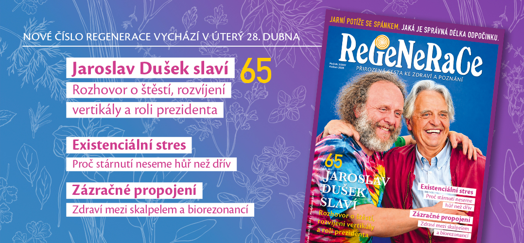 Regenerace 05/2026