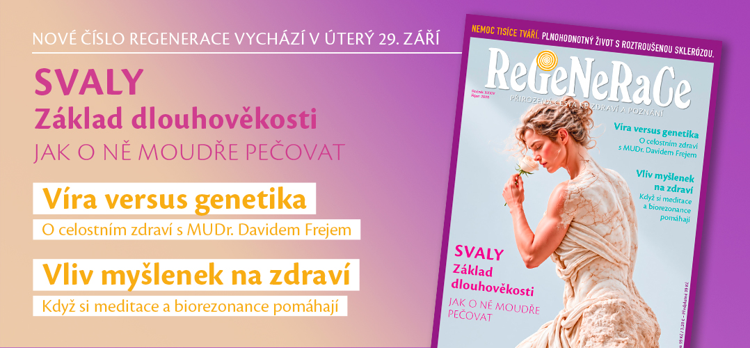Regenerace10/2026