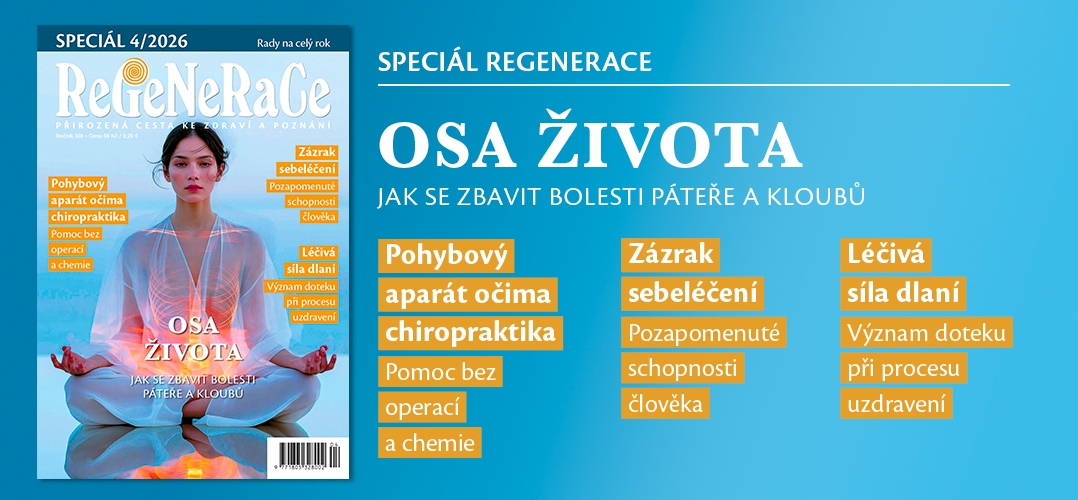 Regenerace 092026