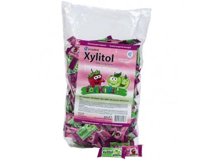 Xylitol Gum Kids - žvýkačky pro děti, 200x2ks