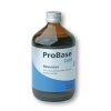ProBase Cold Monomer - pryskyřice, 1000ml