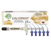 Calcipast - hydroxid vápenatý v pastě