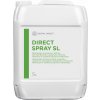 Dental Direct Spray SL 5l