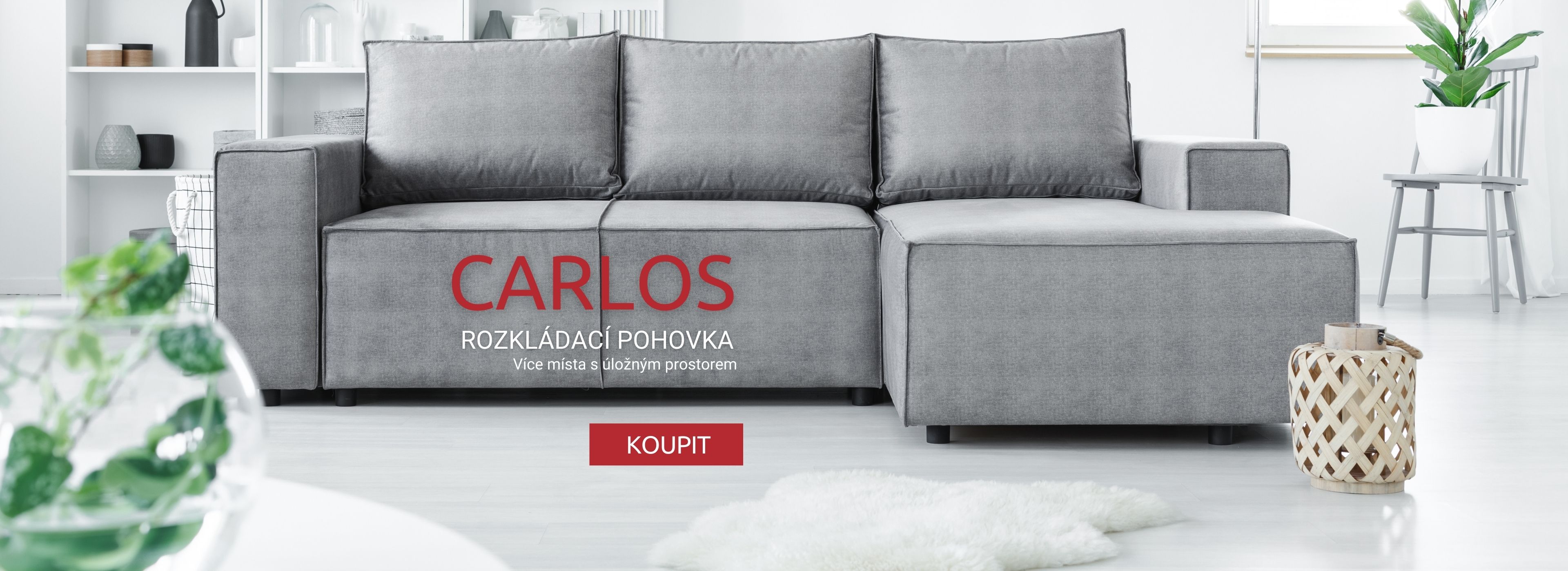 Carlos