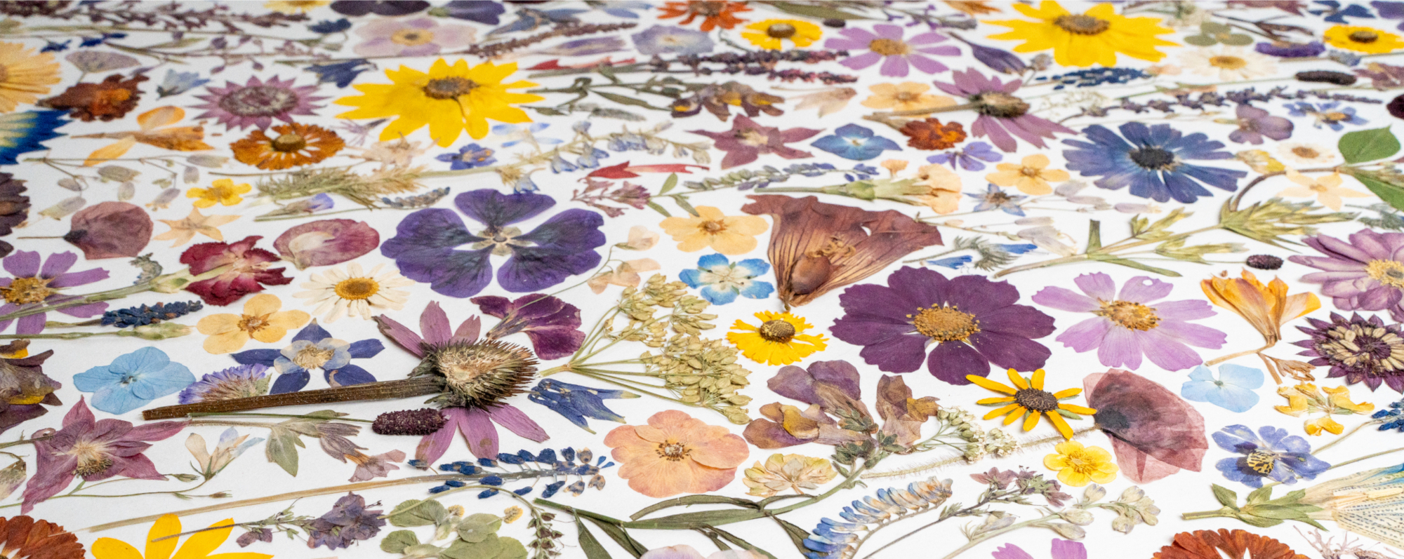 Vrchní uvodni banner