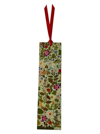 Photoroom 20260131 122028