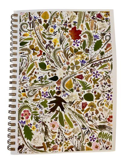 Photoroom 20260224 140804