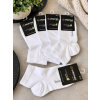 9E908609 F94B 4A3A 9960 9605A2B830B5