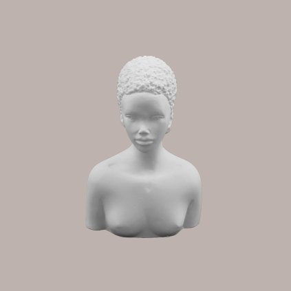 sadrove torzo zena 4150 1