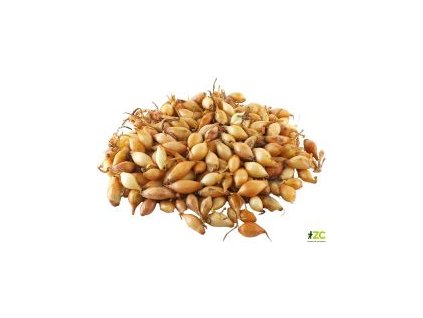 0c2d8c9a b10b 498b 8df0 edc17e8ff63e