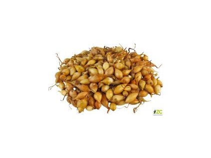 ed9fb707 978c 45cc 8549 81ecc48fa54c