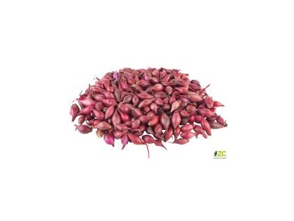 b4e9fbd3 a6a5 453d 85d0 6dbb401828d5