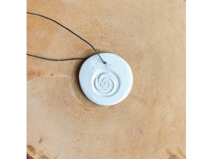 PXL 20231210 130511730