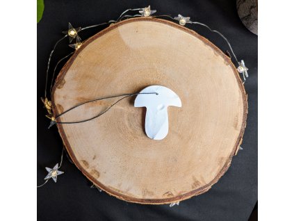 PXL 20231210 130457157