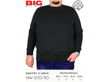 Pulóver model 100NW - O