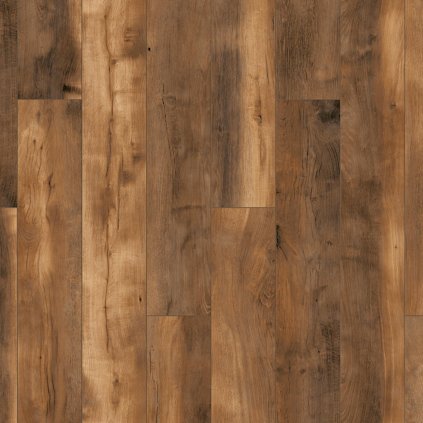 dub dubloon 1890412 19289