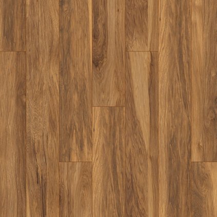 Atlantic 10 Hickory Appalachian 8155 VH 10 mm AC5/33 4V 1clic2go pure+