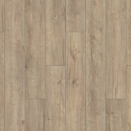 laminatova podlaha kronooriginal atlantic 8 dub mushroom apollo priamy pohlad 17481