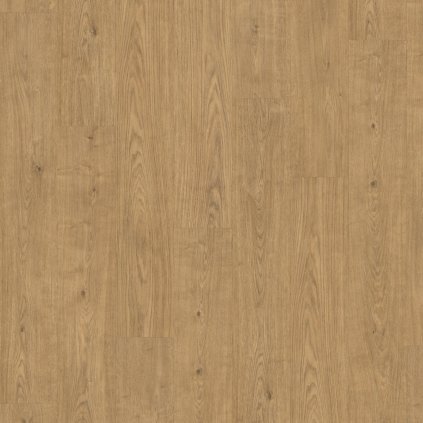 dub berdal prirodny 4870180 18532