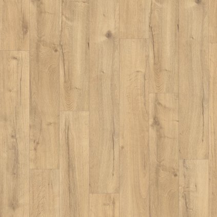 dub loja prirodny 2202076 18568