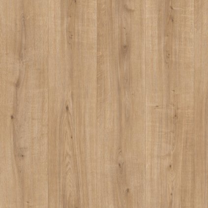 dub ortega 2242093 18651