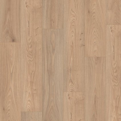 dub conway prirodny 2252091 18592