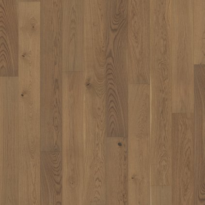 Engineered Wood Flooring Trendtime 4, Oak nougat matt lacquer wideplank widepl mircobev, 1739938, 2010x160x13 mm