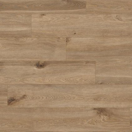 254240002457 0.jpg