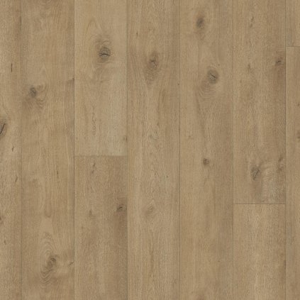 Laminate Flooring Trendtime 6 4V Oak Everglade natural Nat. mat.text. V-groove 1748791 2200x243x9 mm AC5/33