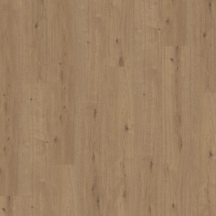 kompozitna podlaha parador modular one hydron dub 1744840 vrchny pohlad