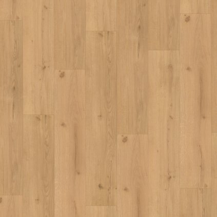 kompozitna podlaha parador basic 5 3 dub 1744607 vrchny pohlad